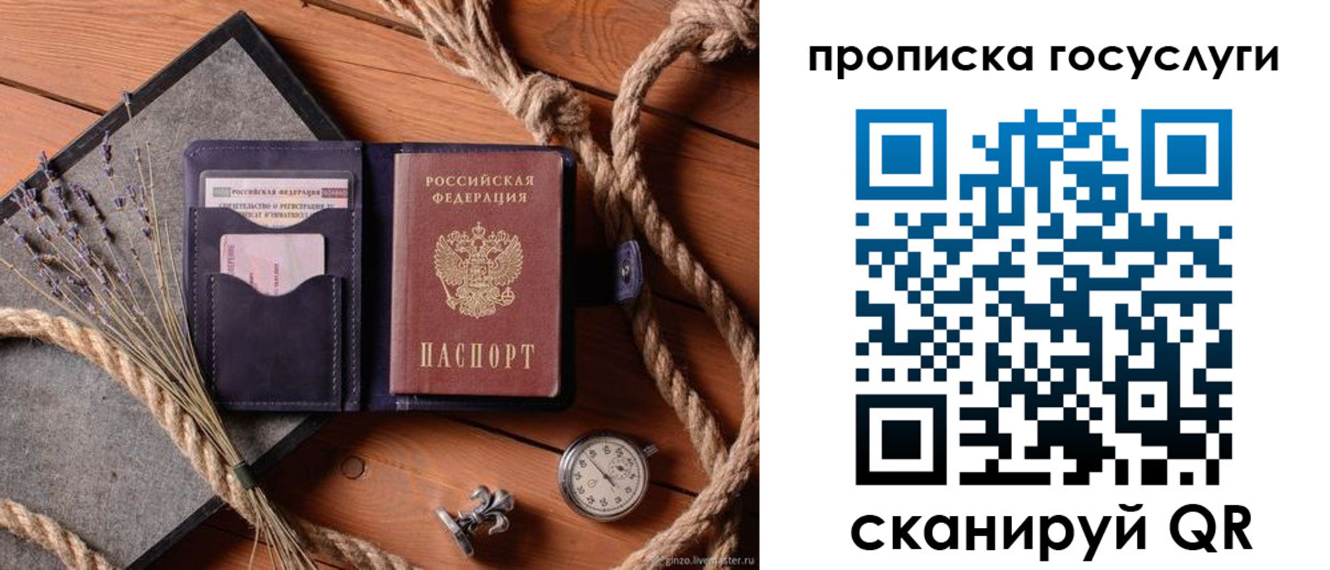прописка поиск в Белгородской области